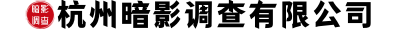 杭州暗影调查有限公司